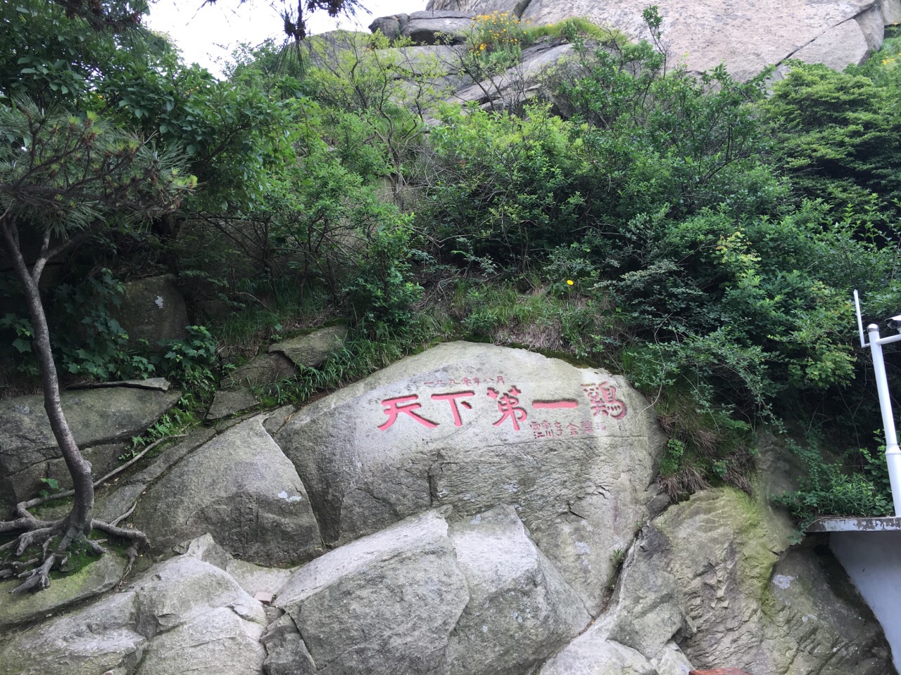 【携程攻略】信阳鸡公山风景区好玩吗,信阳鸡公山风景