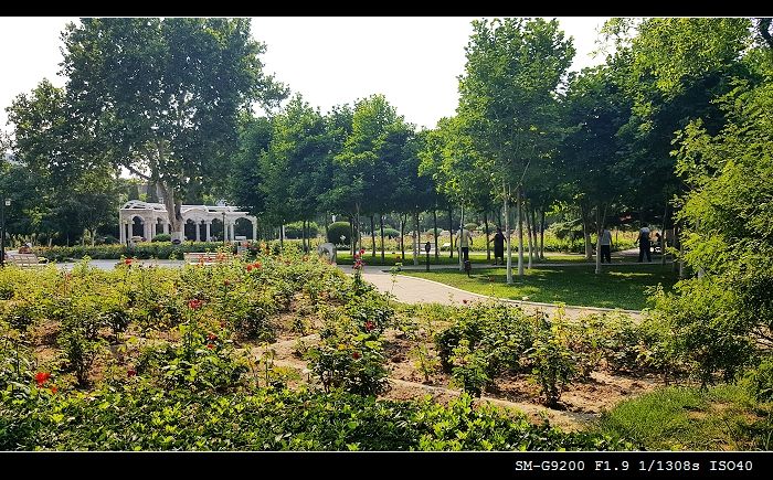 【携程攻略】天津睦南公园景点,这个公园坐落在天津市