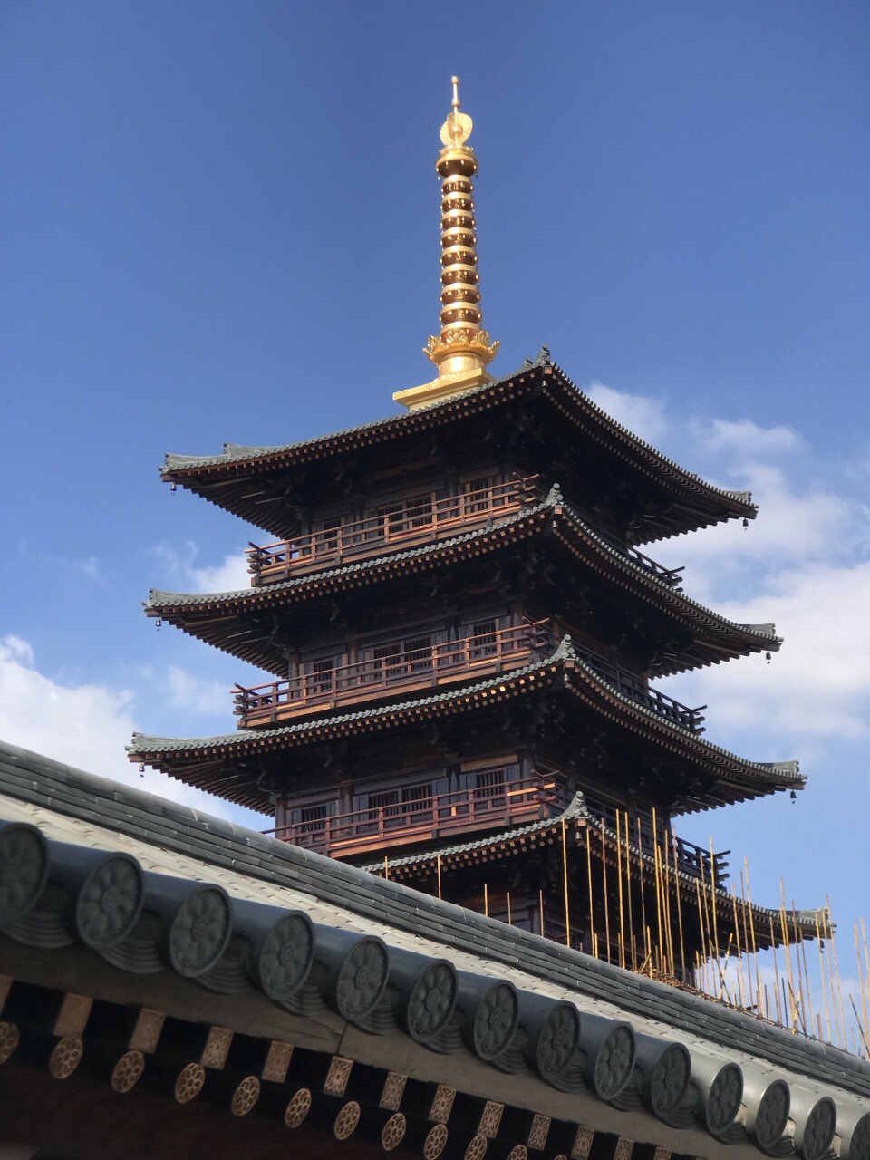 上海宝山净寺好玩吗,上海宝山净寺景点怎么样_点评_评价【携程攻略】