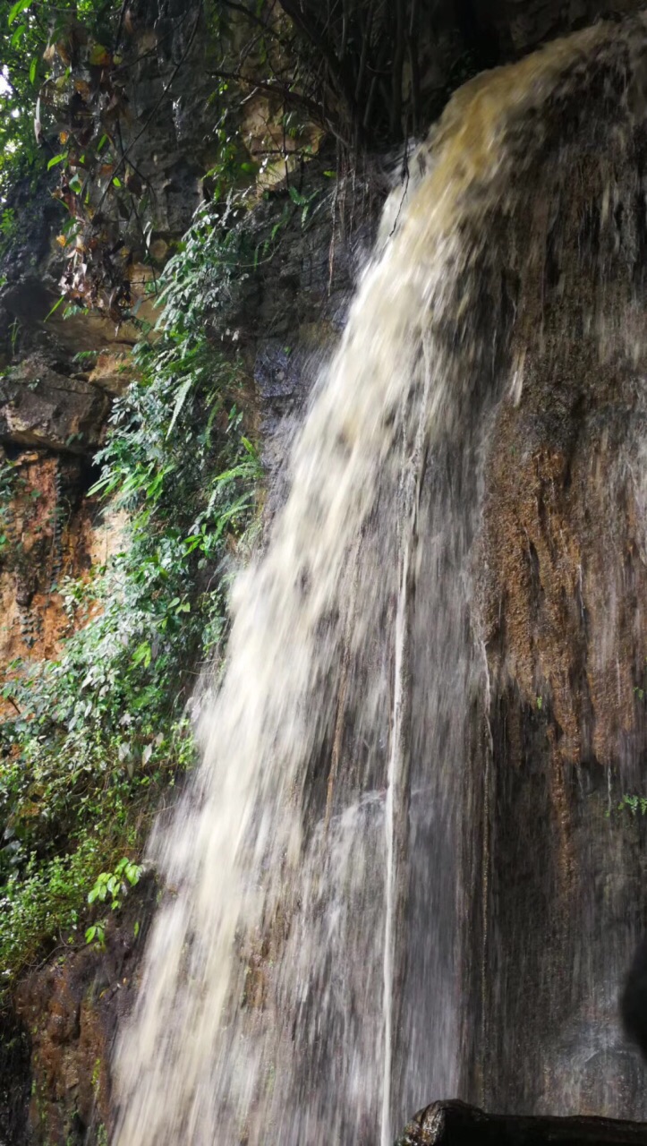 2019陡坡塘瀑布_旅游攻略_门票_地址_游记点评,黄果树