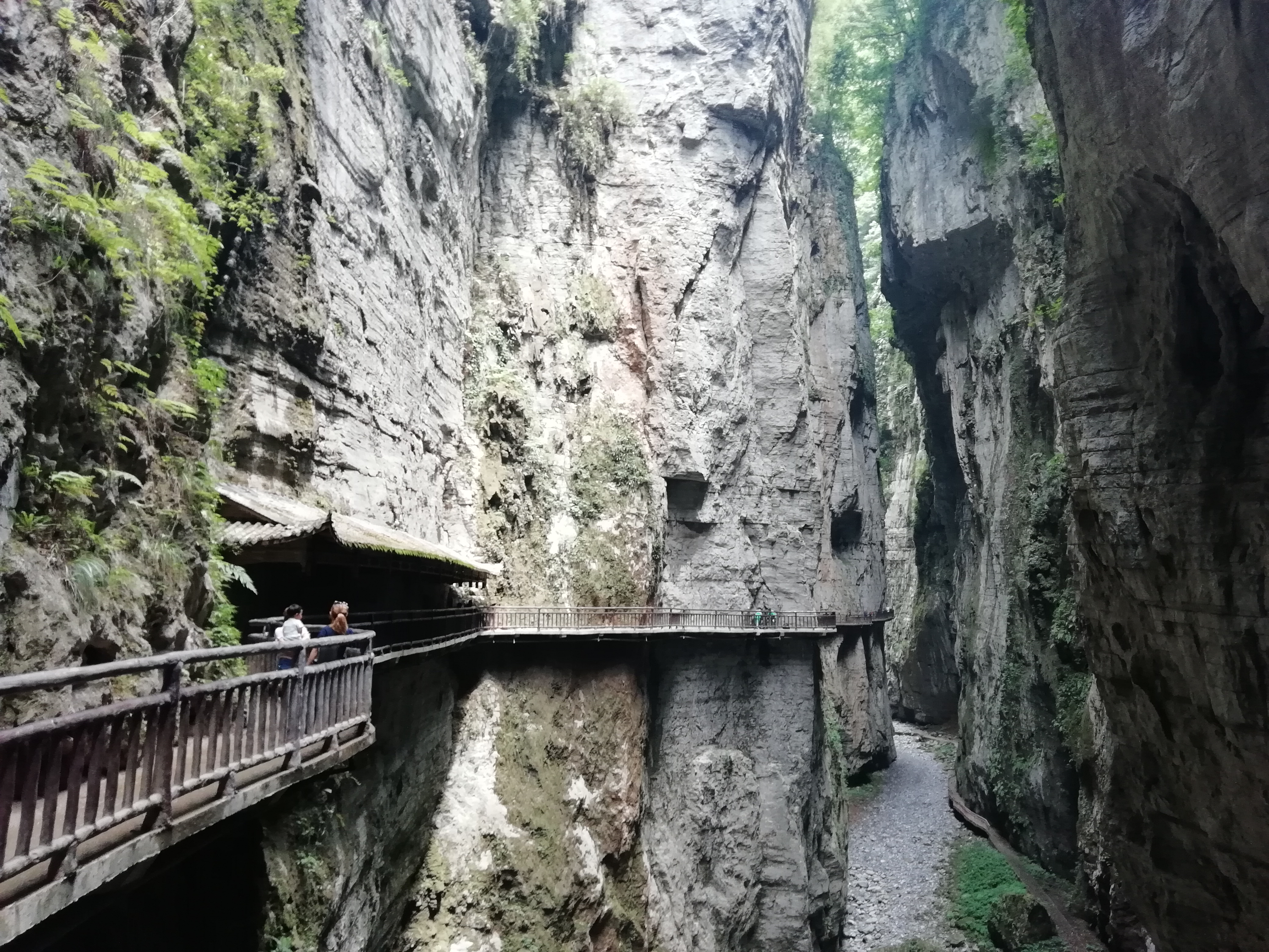 【携程攻略】涪陵区武陵山大裂谷适合情侣出游旅游吗,武陵山大裂谷