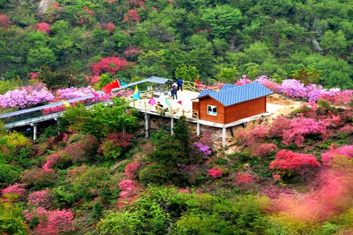 英山县天马寨风景区