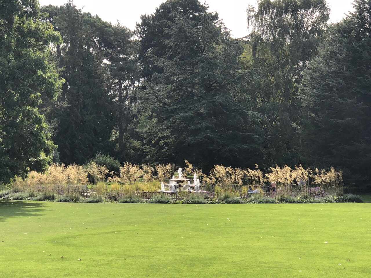 剑桥大学植物园