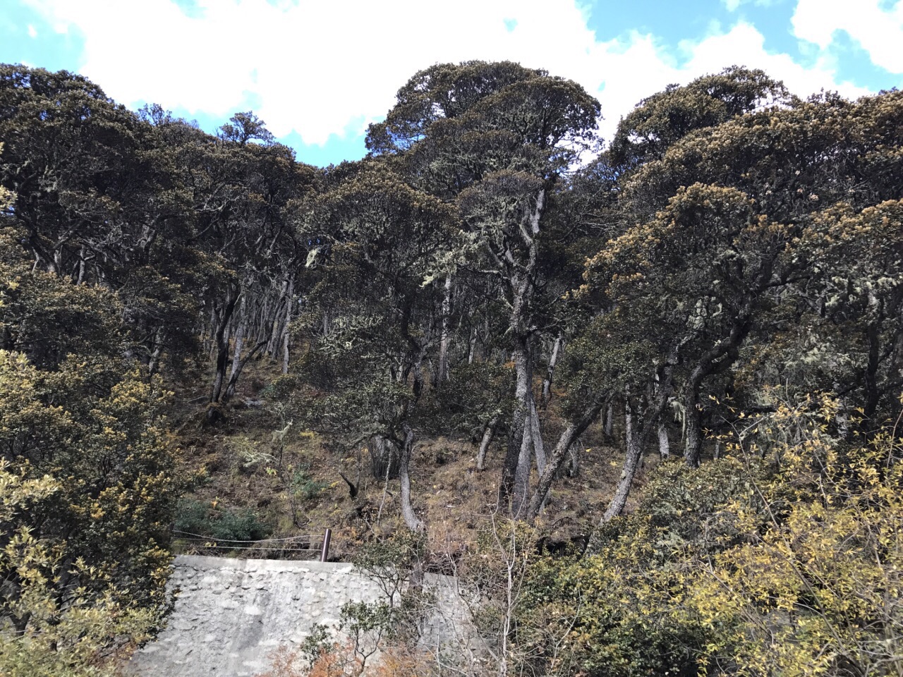 扎灌崩