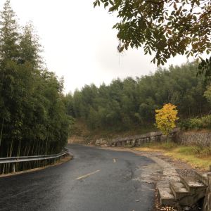 天目山镇天目村