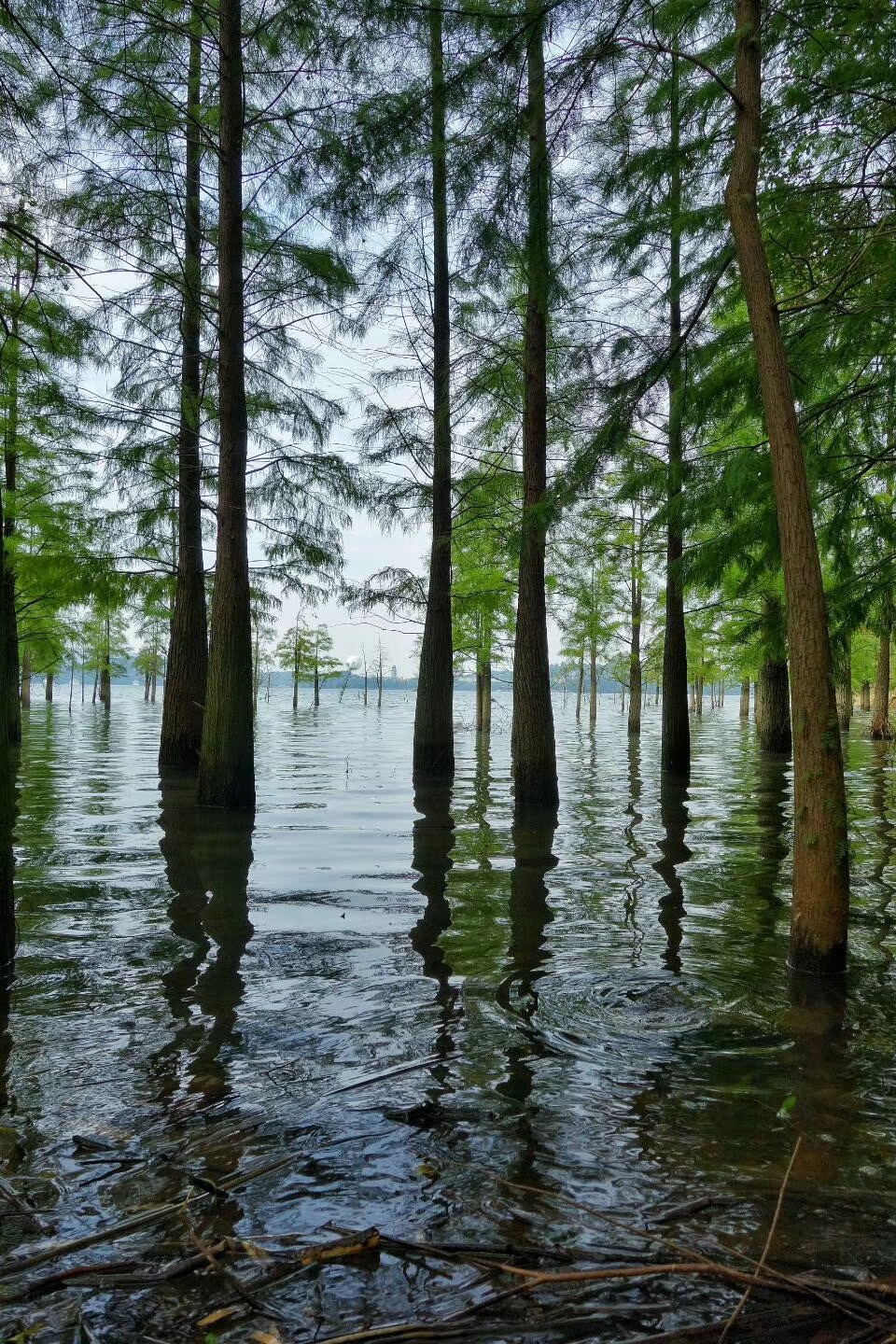 天目湖旅游景点攻略图