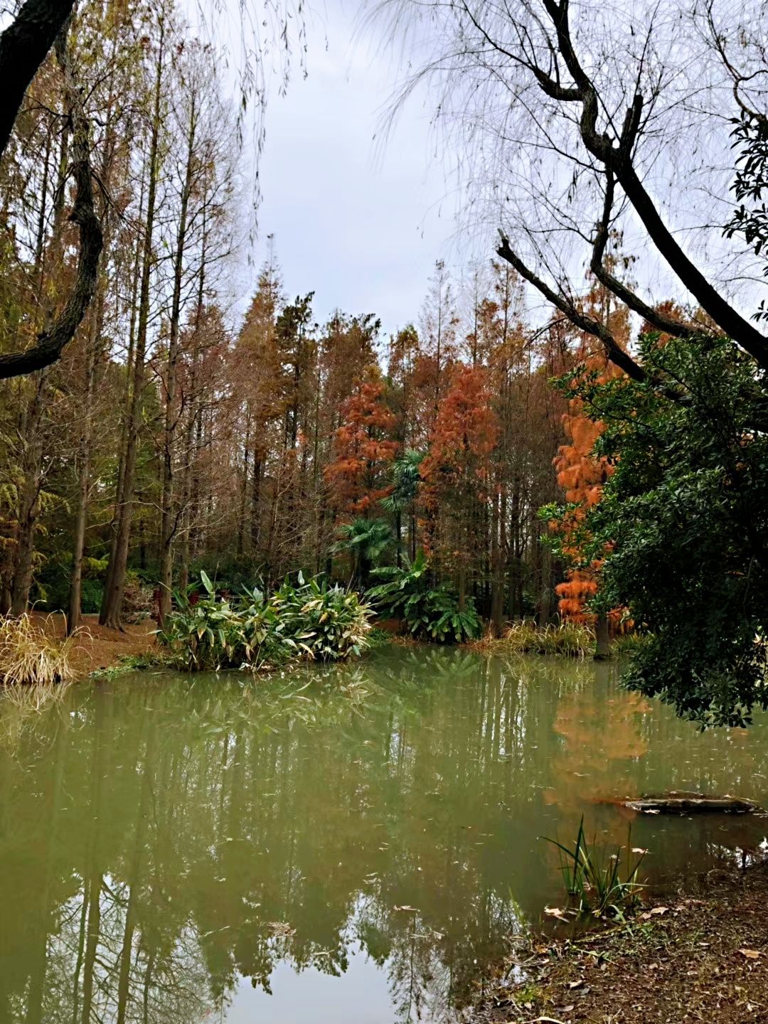 上海滨江森林公园