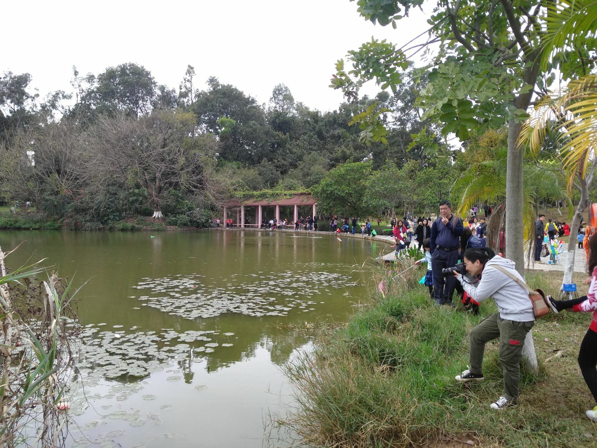 2019华南农业大学湿地公园游玩攻略,如果你要问我华南