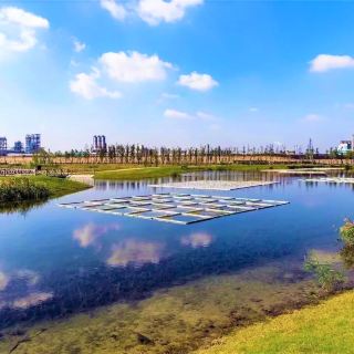 鹦鹉洲生态湿地