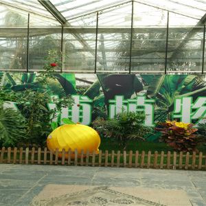 南陵大浦乡村世界乡村,大浦攻略攻略门票/消消宾果游玩消320世界大全图片