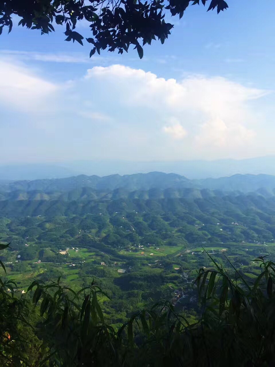 蜀南竹海