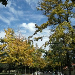 八大关风景区-王正廷故居