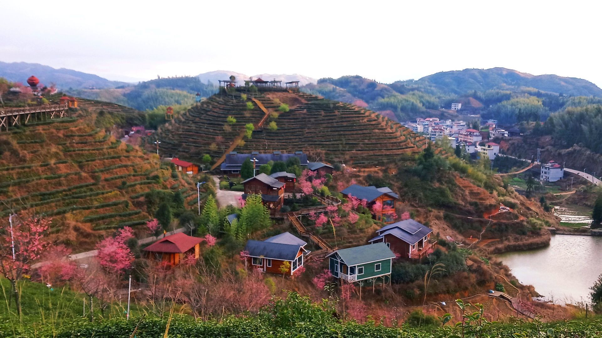 【携程攻略】大田屏山生态茶园景点,一年四季都有不同