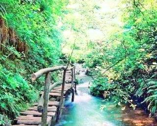沟崖自然风景区
