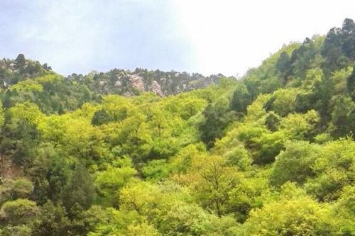 九龙山生态旅游风景区