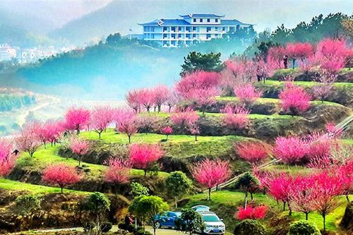 罗田天堂寨风景区攻略-天堂寨风景区门票价格多少钱