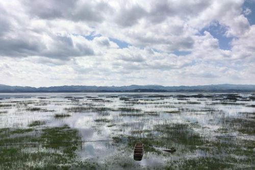 威宁草海攻略-草海门票价格多少钱-团购票价预定优惠-景点地址图片