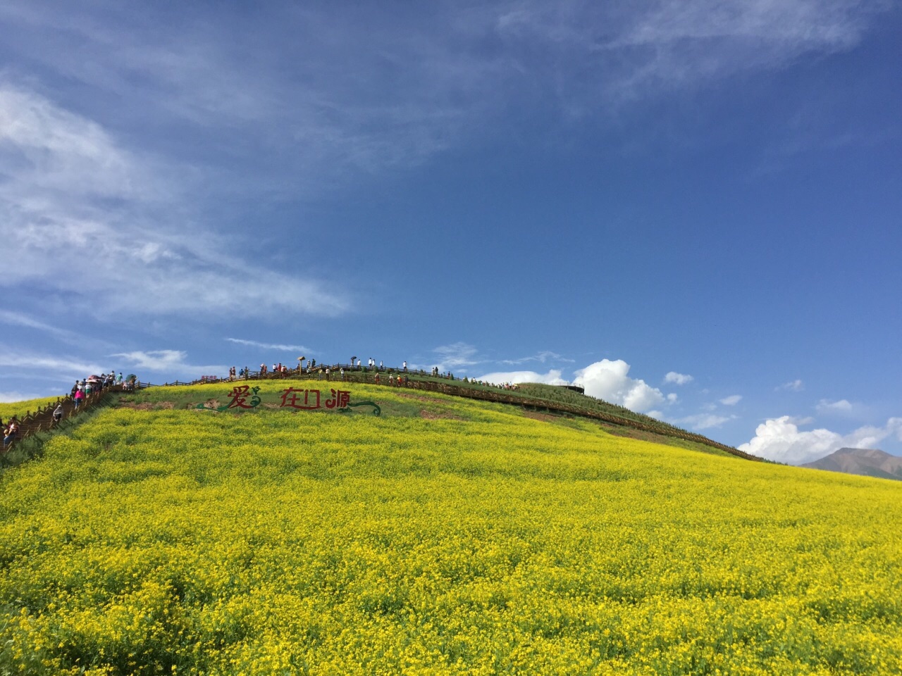 门源油菜花旅游景点攻略图