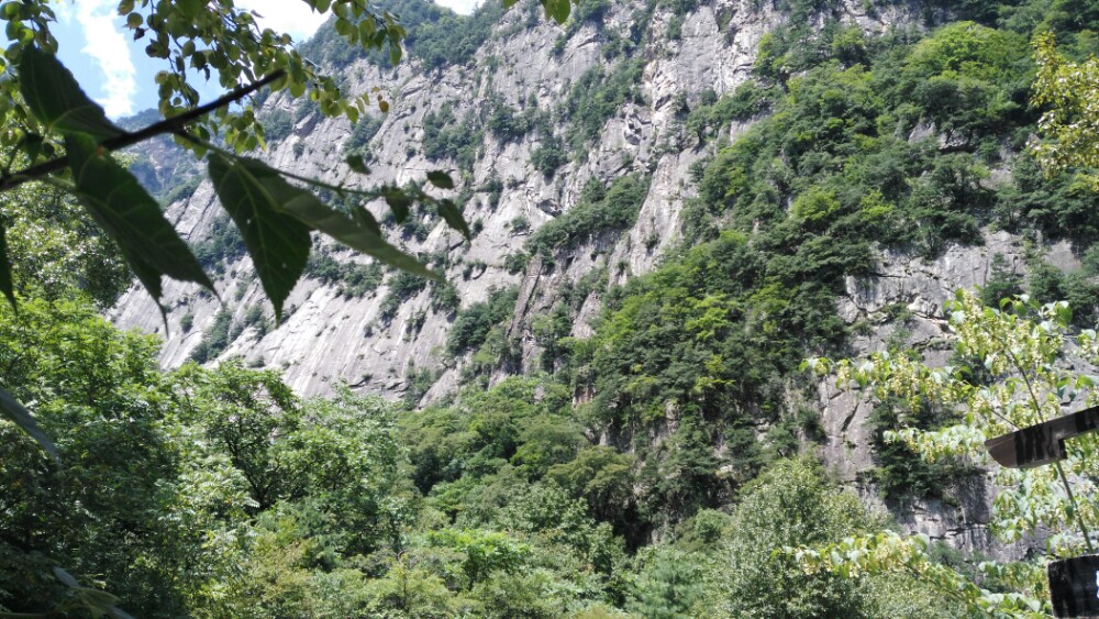 太白青峰峡森林公园好玩吗,太白青峰峡森林公园景点怎么样_点评_评价