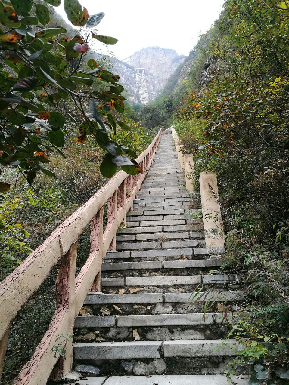 圣莲山景区