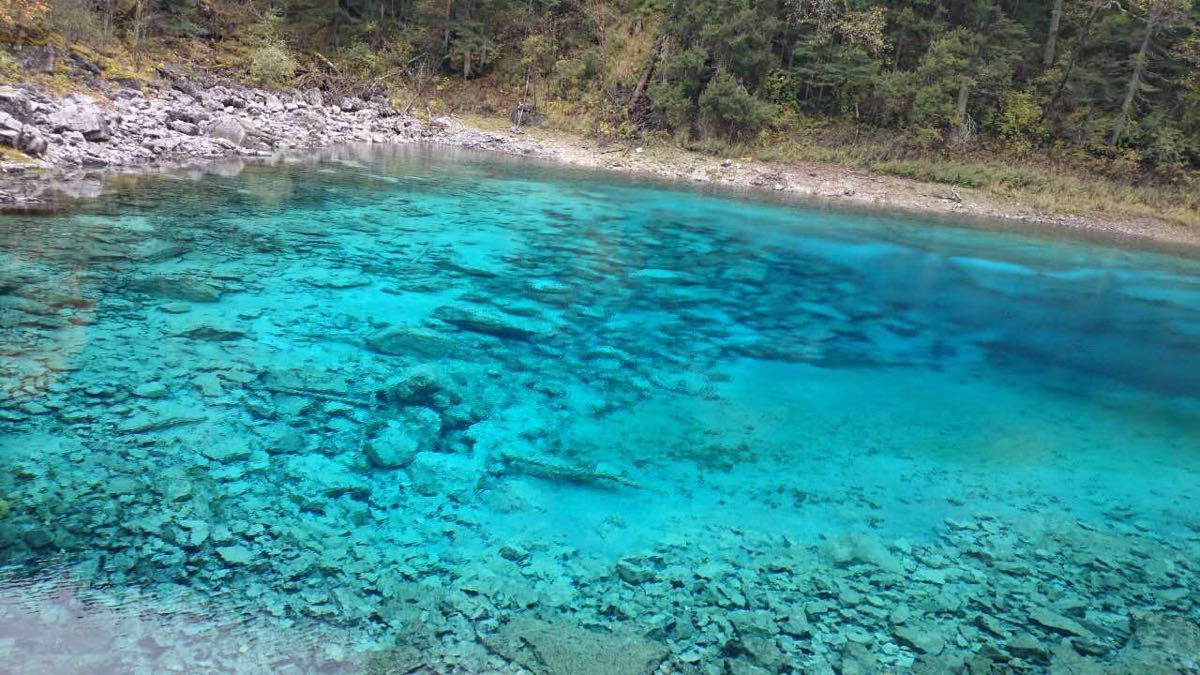 九寨沟的五彩池不同黄龙,九寨沟的只有一个颜色蓝色,而黄龙就有几种&