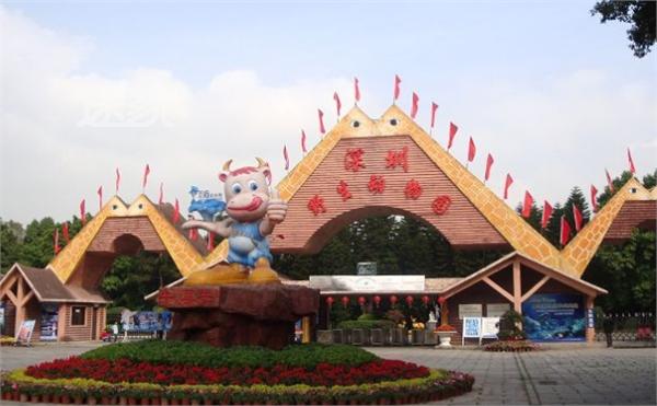 深圳野生动物园是中国第一家放养式野生动物园,建于山清水秀的深圳西丽湖畔,毗邻麒麟山庄和深圳大学城。深圳野生动物园采用了模拟自然环境的放养模式。园内放养着来自世界各洲的300多个品种、一万多头(只)动物,有不少属于世界珍禽名兽和我国一、二级保护动物。如大熊猫、金丝猴、华南虎、东北虎、火烈鸟、麦哲伦企鹅、长颈鹿、东北虎、火烈鸟,斑马、亚洲象、丹顶鹤、犀牛等珍贵品种。还有动物园繁殖十分珍稀的众多狮虎兽、虎狮兽。
目前,深圳野生动物园是世界上惟一拥有狮虎兽、虎狮兽的野生动物园。各种动物在开阔的模拟野生环