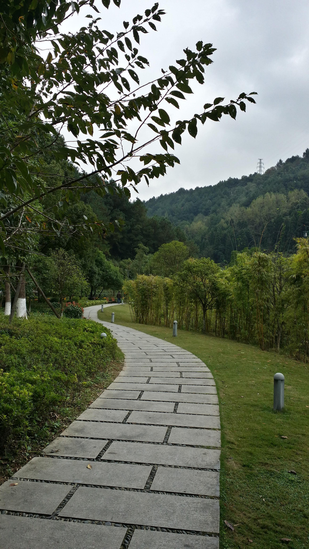 天誉城站下: 沿坡道或台阶至山腰-鹿冲关森林公园(站在公园大门平台上
