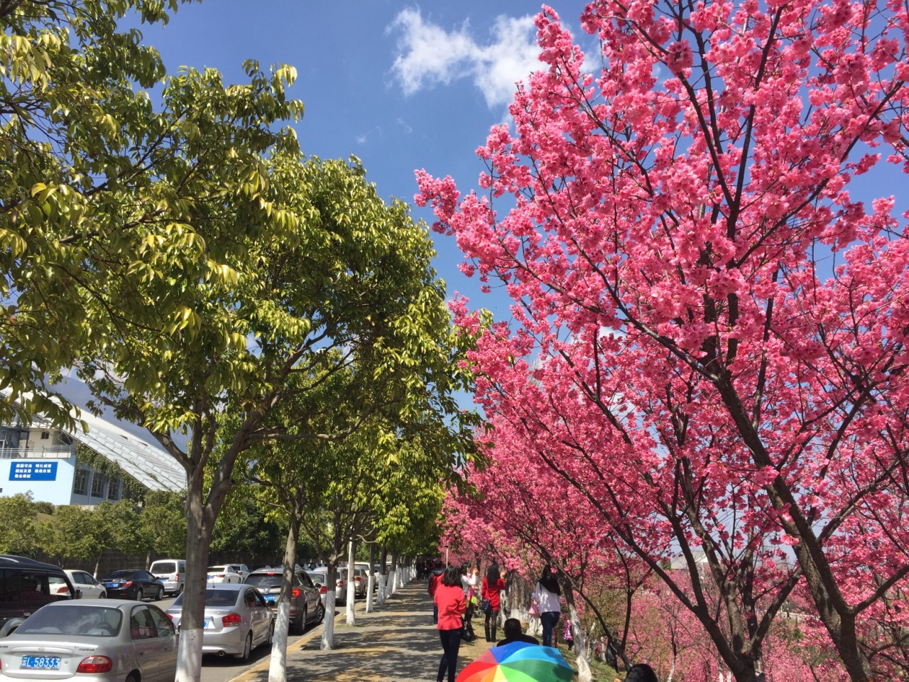 大理学院图书馆旅游景点攻略图