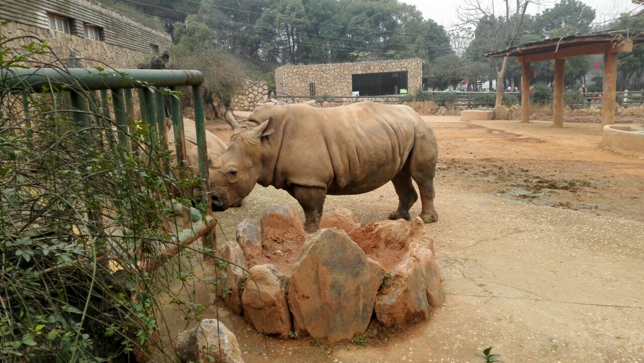 长沙生态动物园