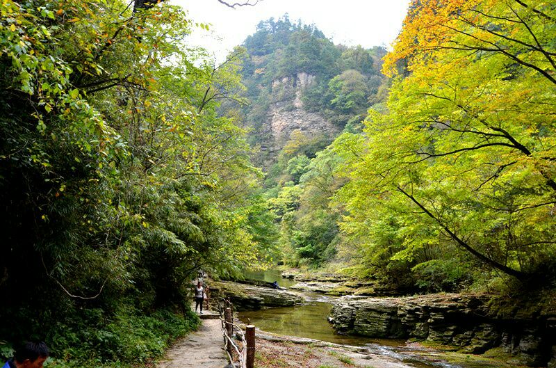 黎坪森林公园