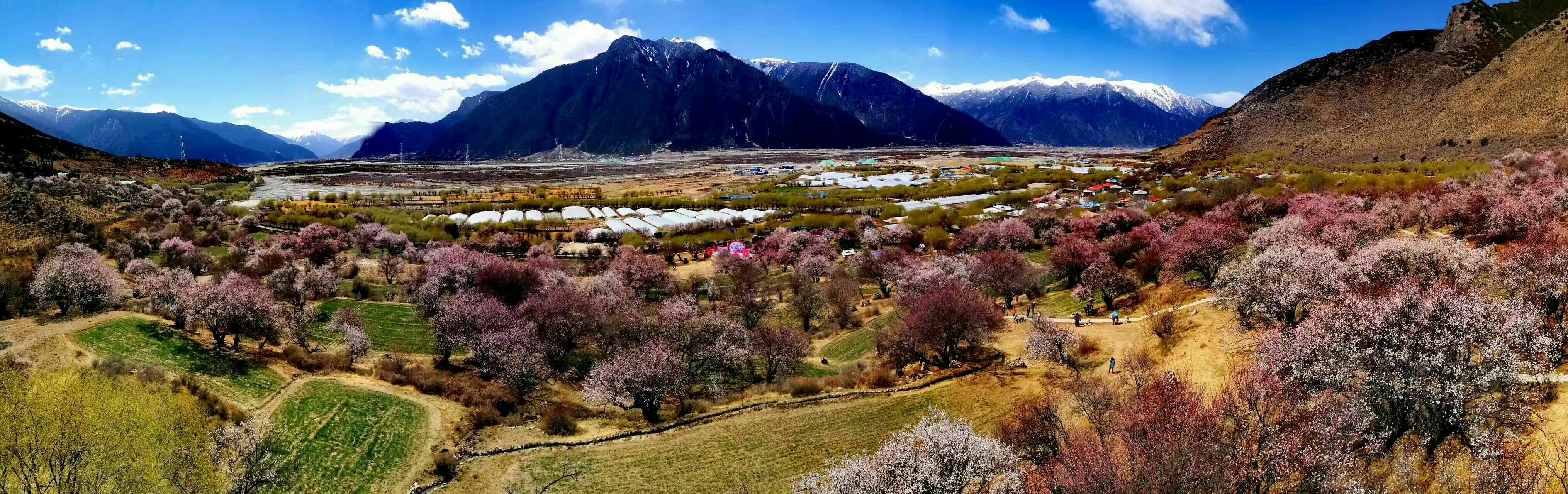 嘎拉桃花村