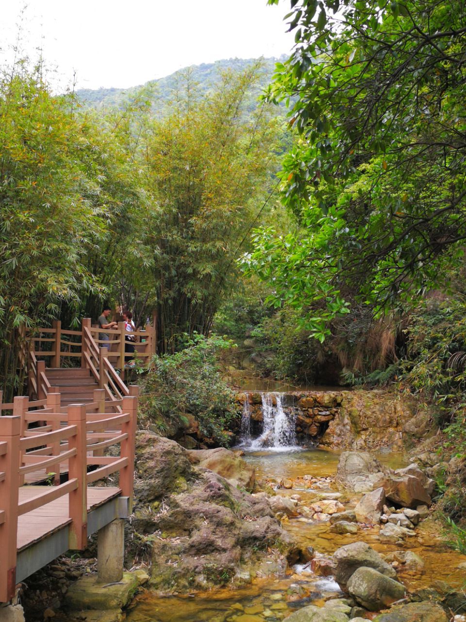 佛山南海湾森林生态园好玩吗,佛山南海湾森林生态园样