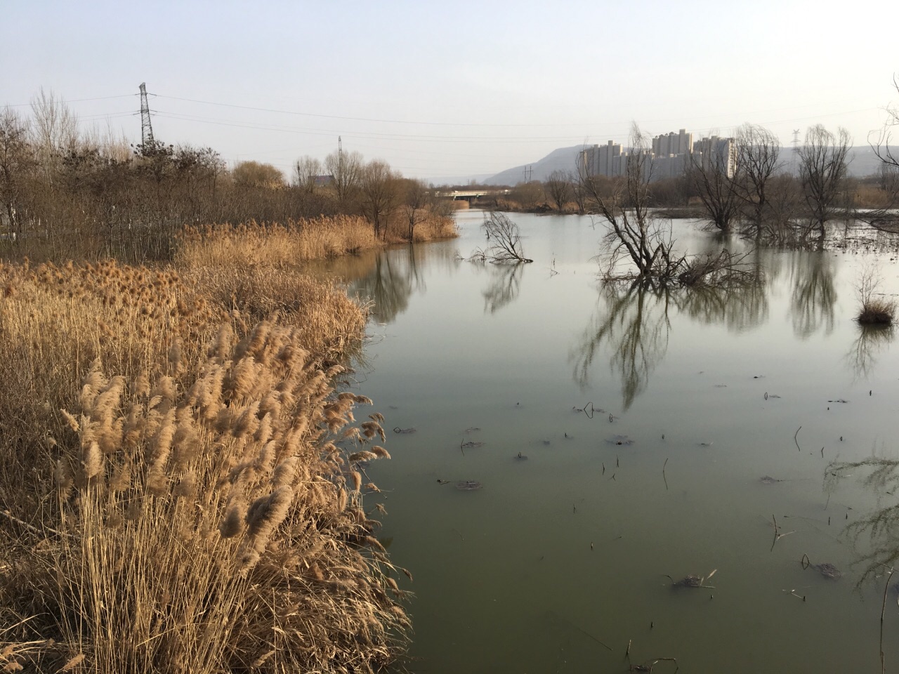 西安灞桥生态湿地公园好玩吗,西安灞桥生态湿地公园样