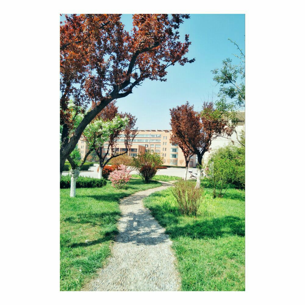 天水师范学院
