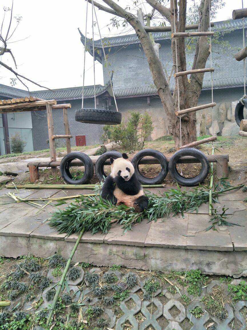 仙芝竹尖生态园旅游景区