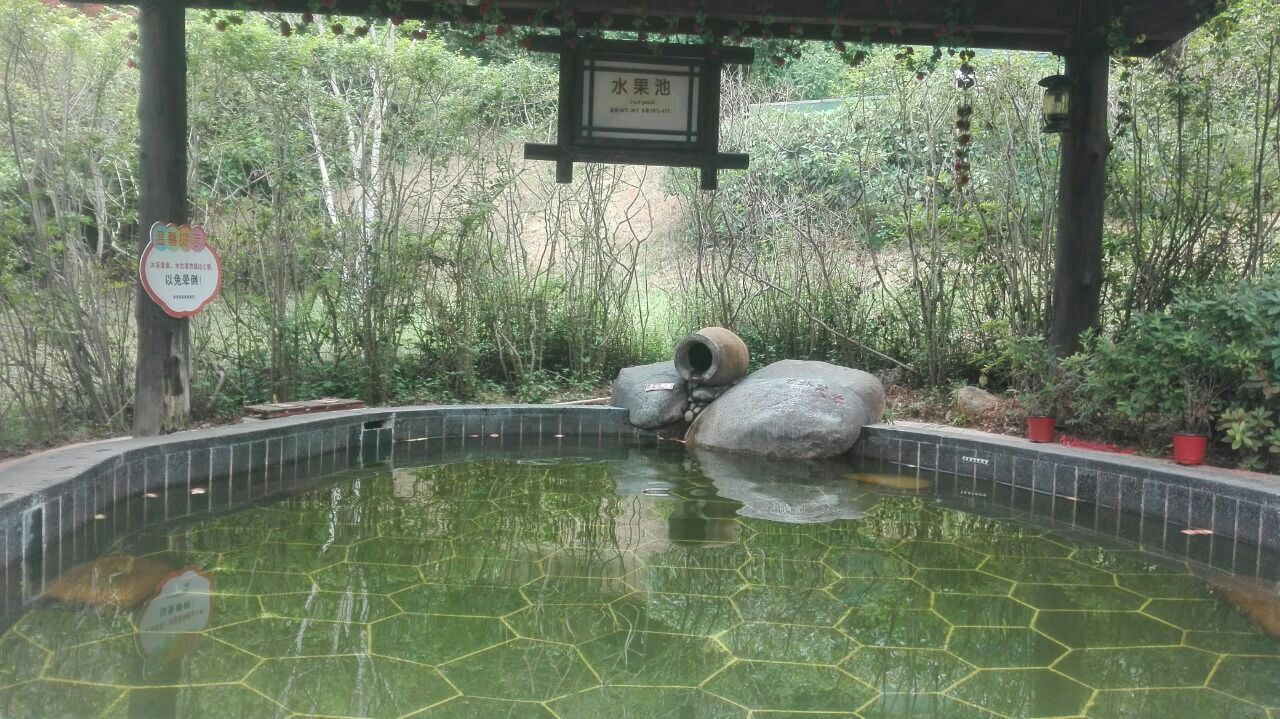 紫龙湾温泉旅游景点攻略图