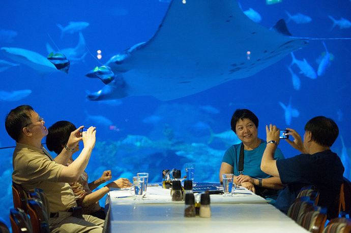 餐厅设置在"海洋奇观"水族馆巨型观赏屏前,可以一边用餐一边欣赏超过