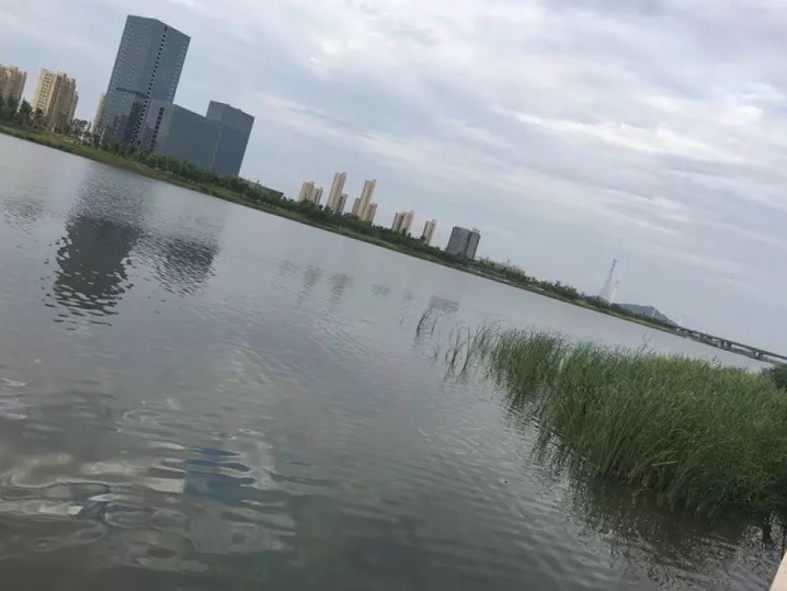 曹娥江