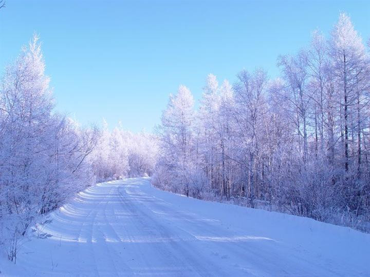 在这漫天雪花飞舞的地方(～~▽~)～浪