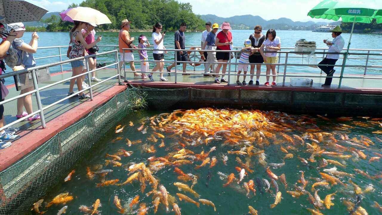 【携程攻略】千岛湖梅峰岛好玩吗,千岛湖梅峰岛景点样