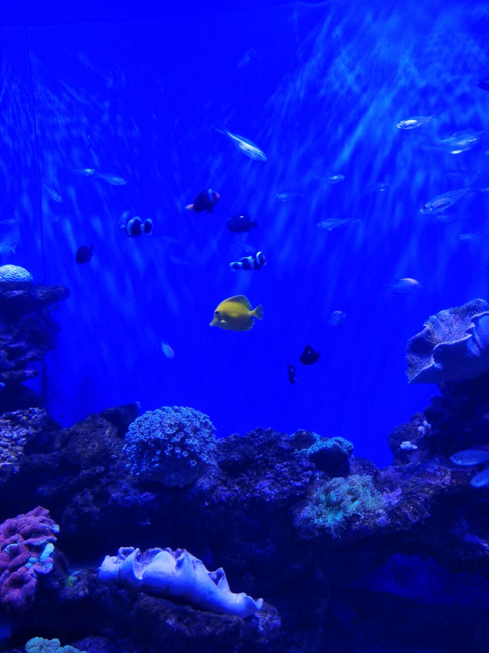 北海海底世界