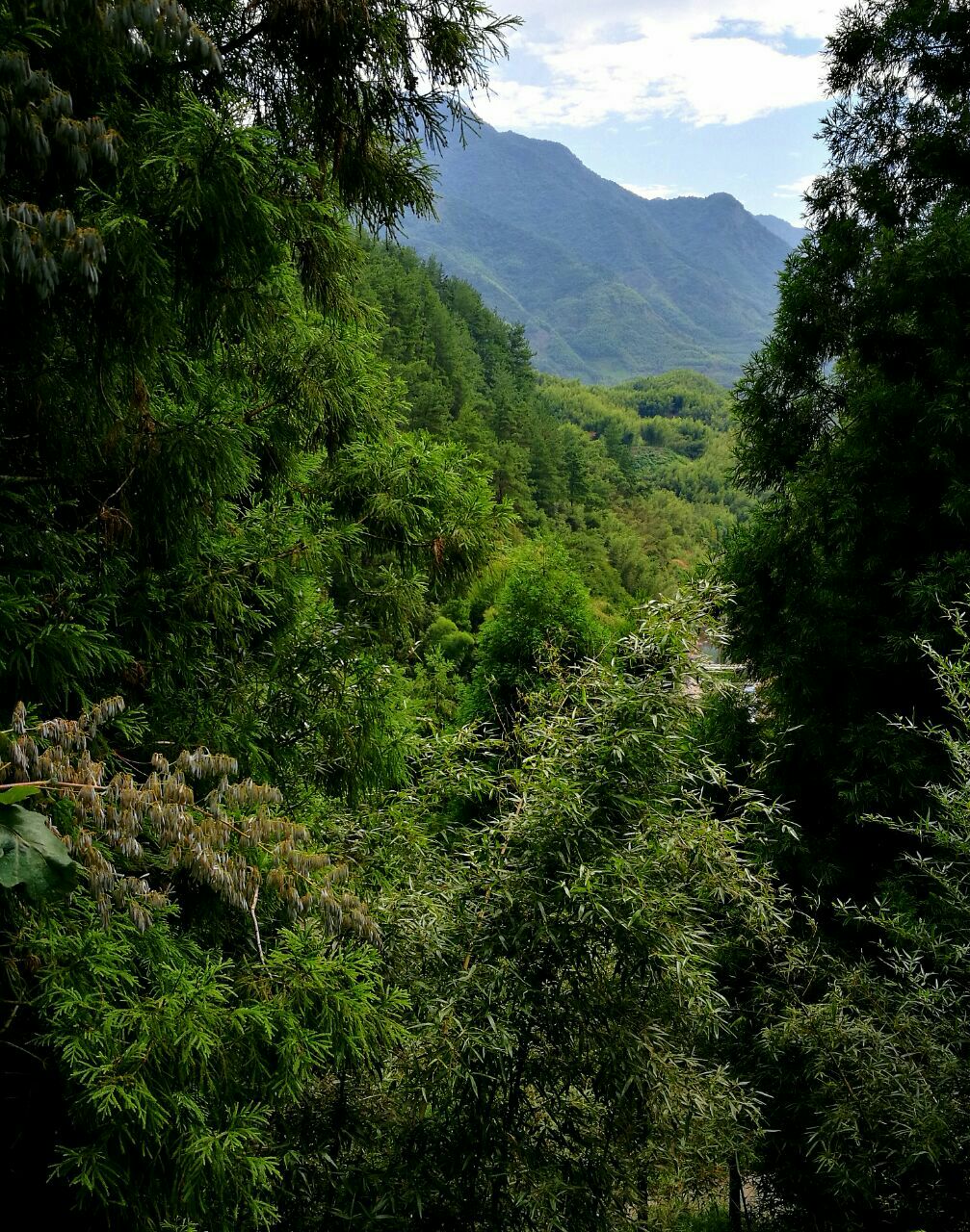 四面峰