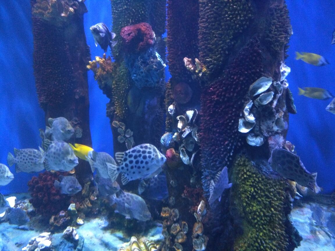 北海海底世界