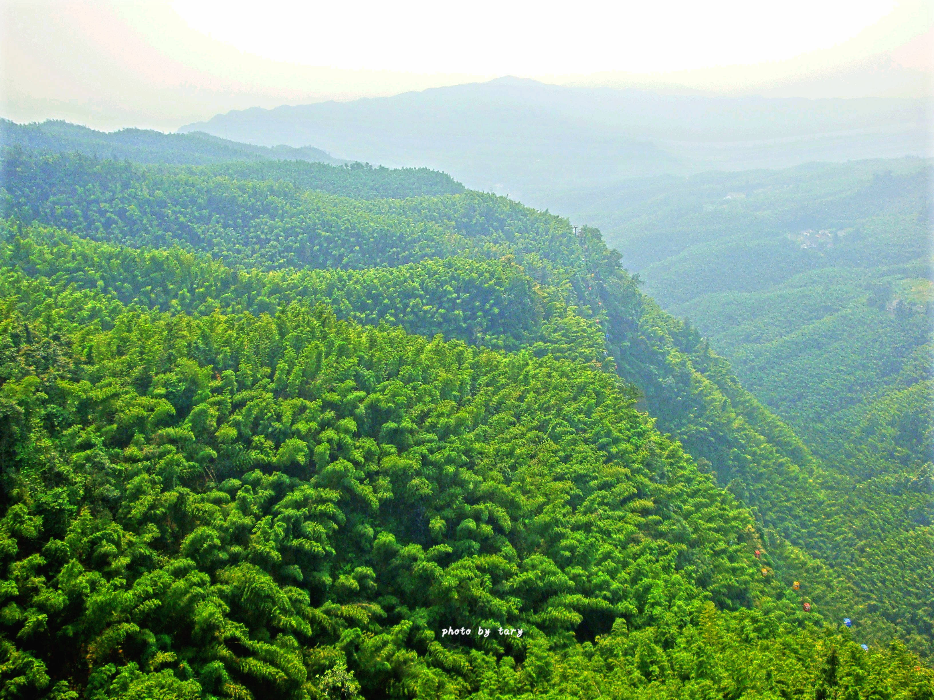 洞上绝壁凌空,洞下削壁千纫,行走其间,非常险峻,视野也非常佳.