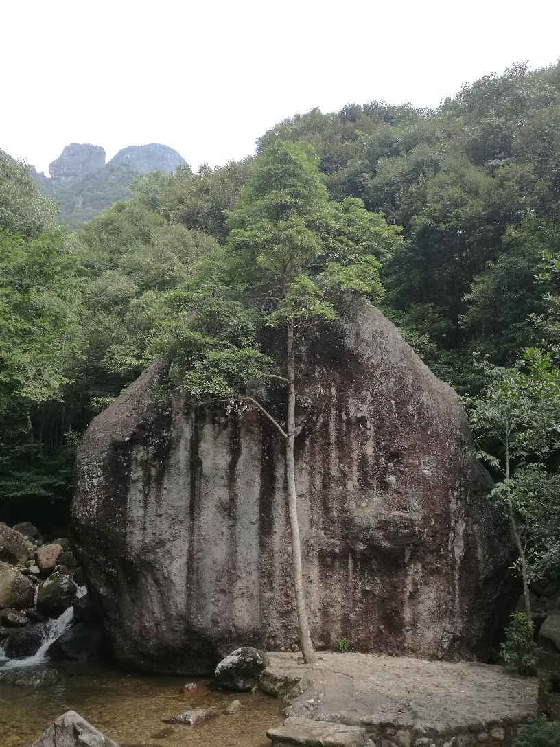 仙游菜溪岩好玩吗,仙游菜溪岩景点怎么样_点评_评价