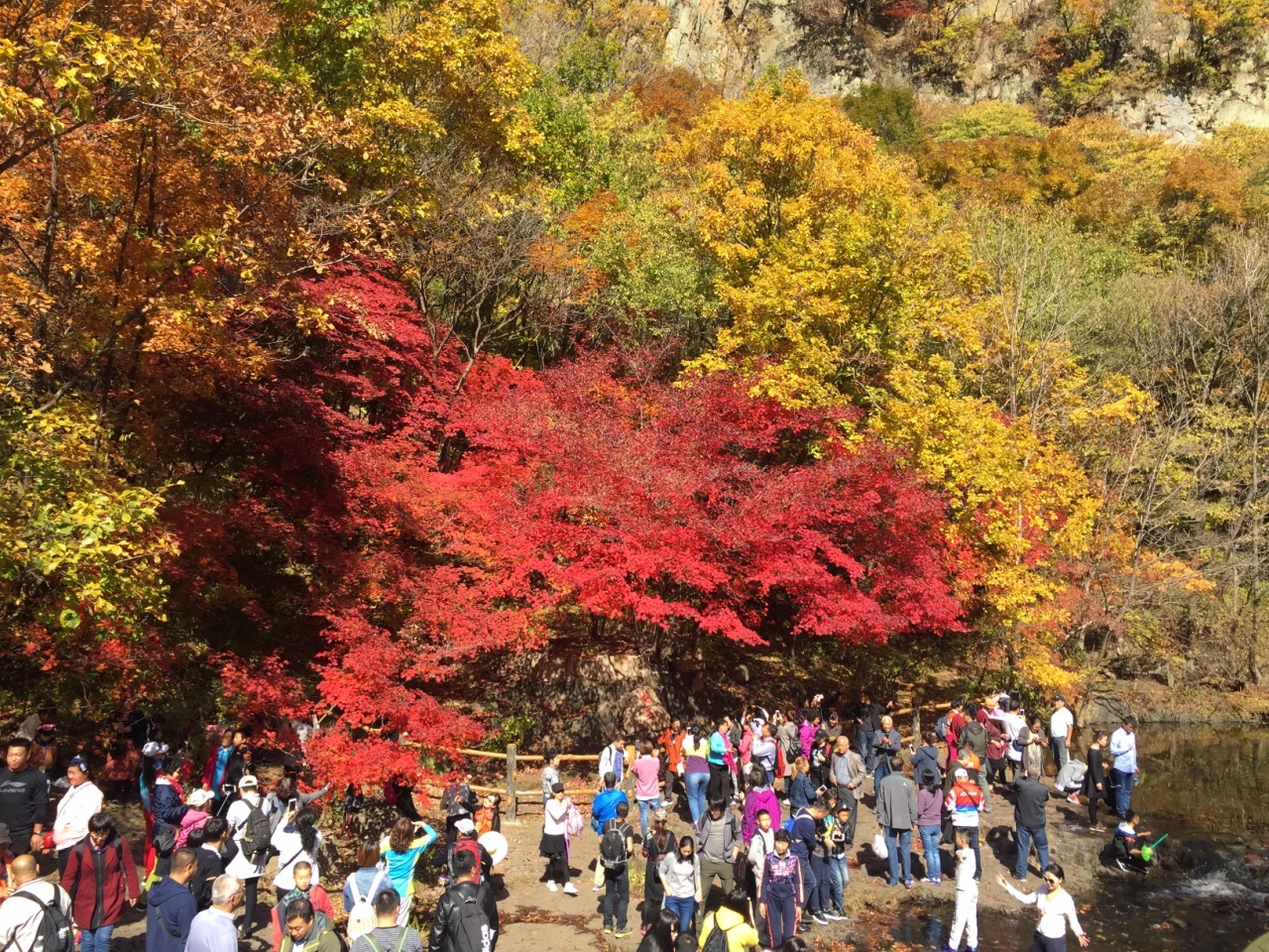 关门山国家森林公园