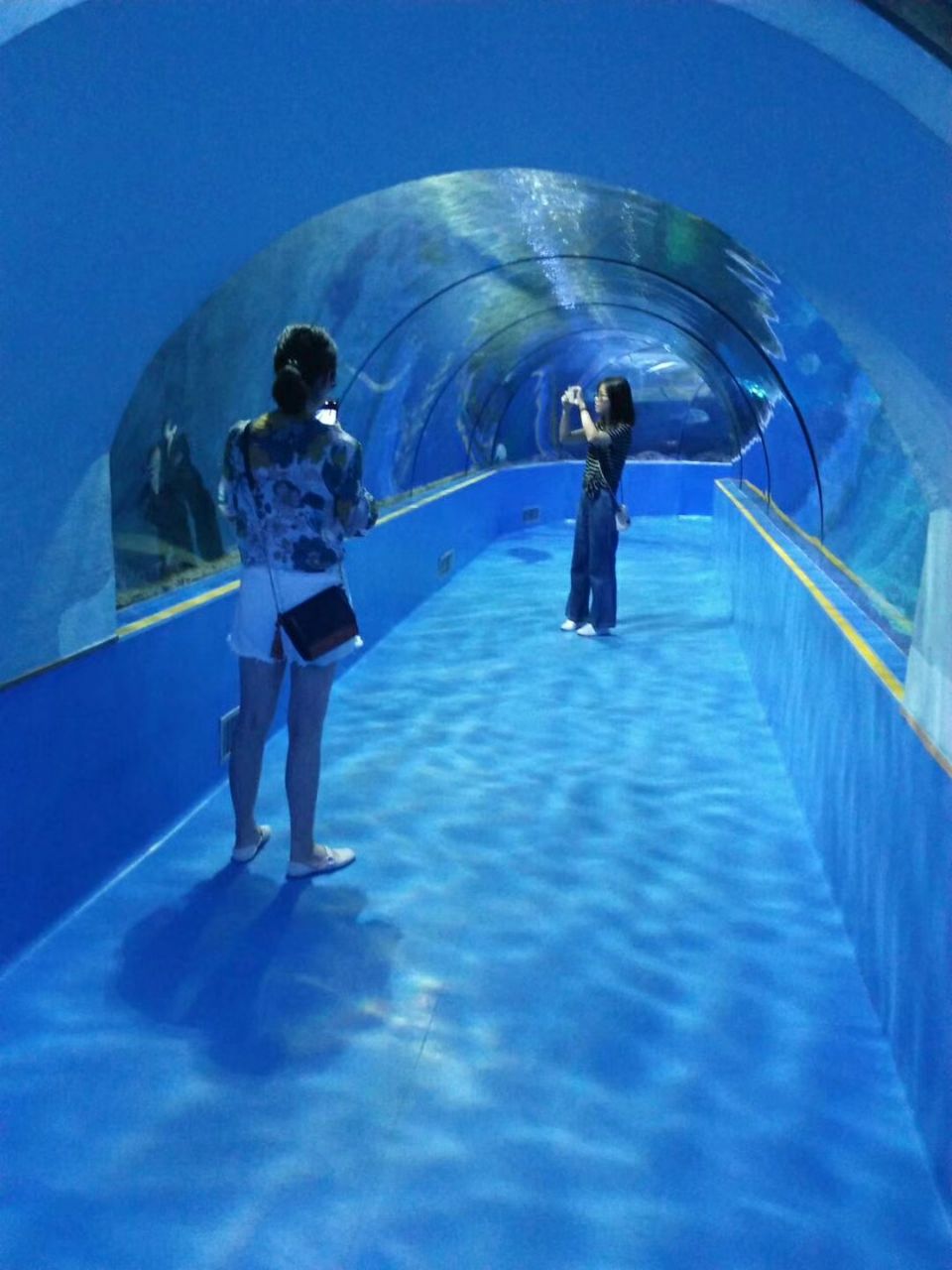 台州海洋世界旅游景点攻略图