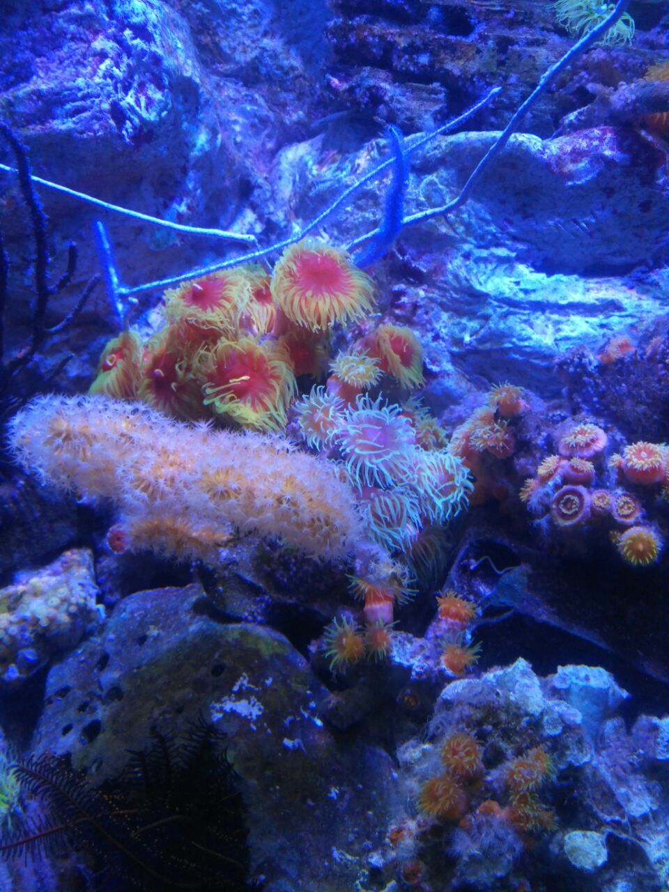 名古屋港水族馆