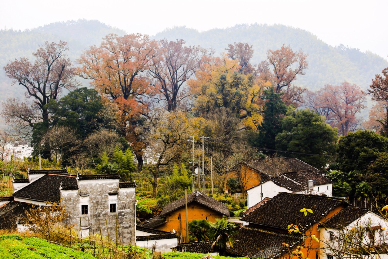 2019石城程村_旅游攻略_门票_地址_游记点评,婺源旅游