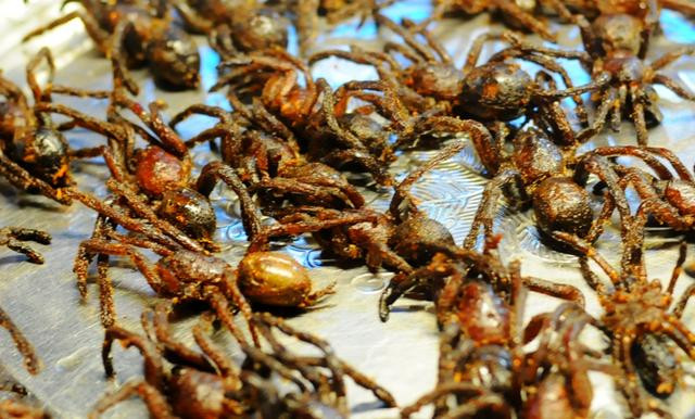 蜘蛛,蛇,蝎子全都烤着吃,你挑战过这些疯狂的美食吗?